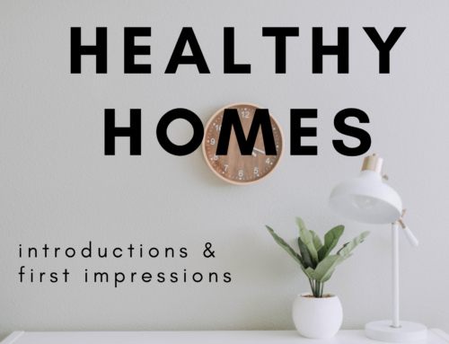 Healthy Homes: introductions & first impressions